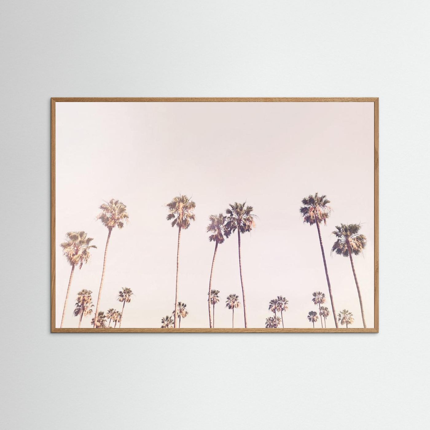 Sunny Cali Palm Trees by Kathrin Pienaar
