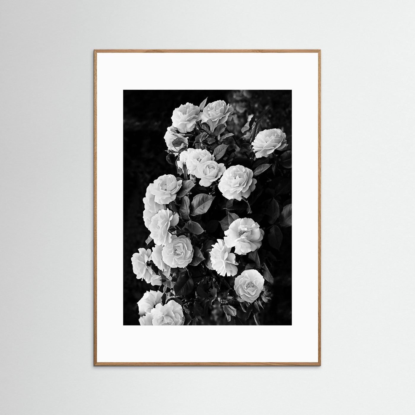 Rose Bush by Kathrin Pienaar
