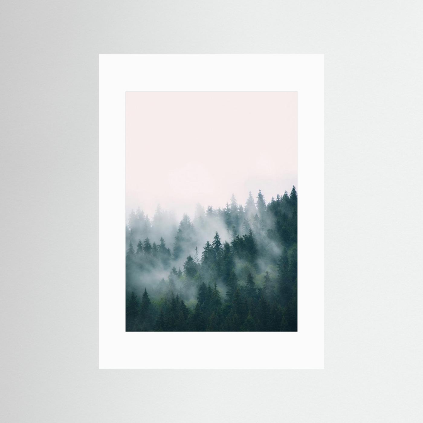 Forest by Kathrin Pienaar