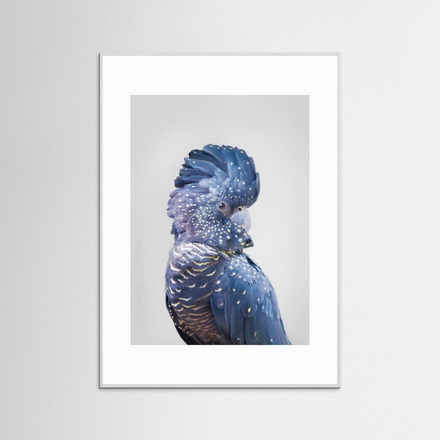 Black Cockatoo by Kathrin Pienaar