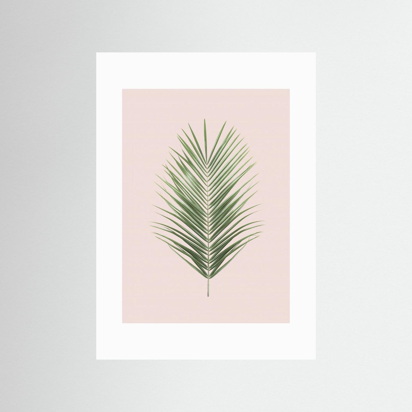 Palm Leaf Blush by Kathrin Pienaar