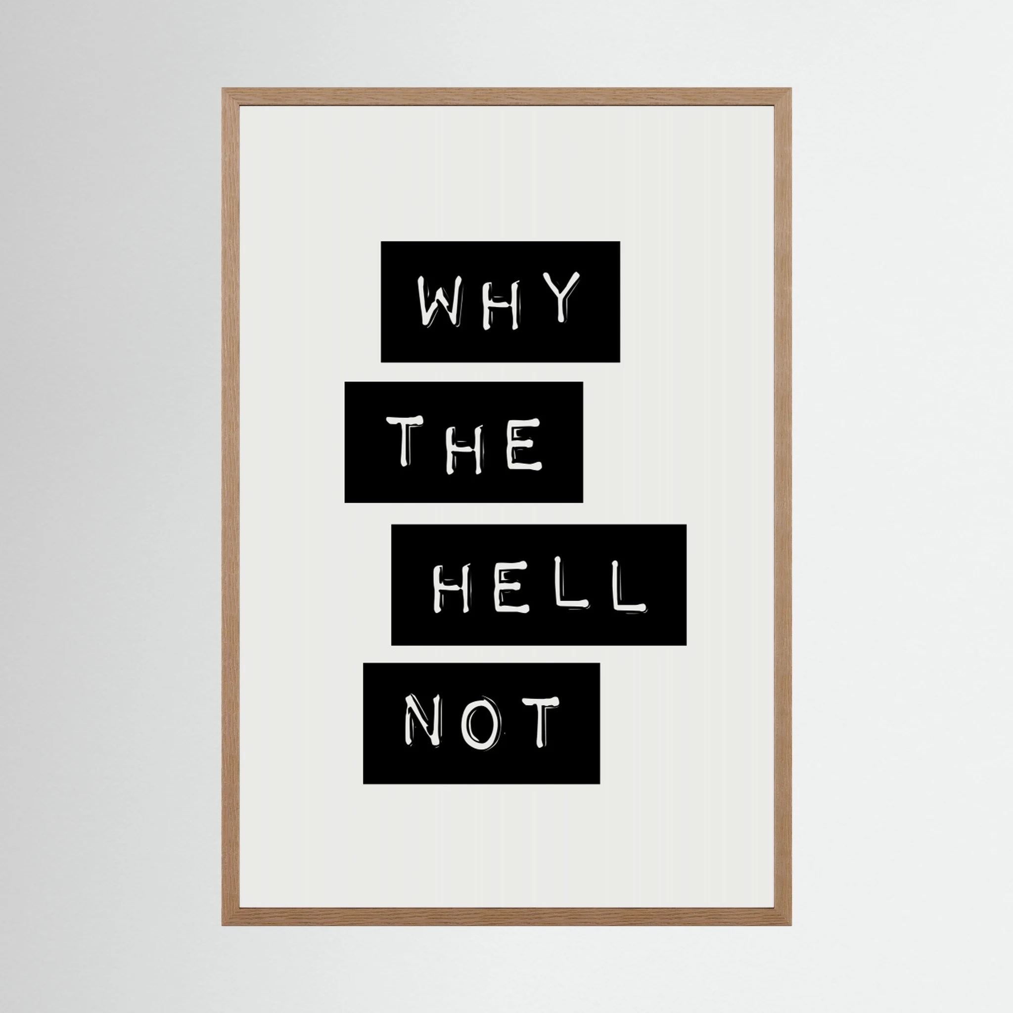Why the Hell Not by Brett Wilson