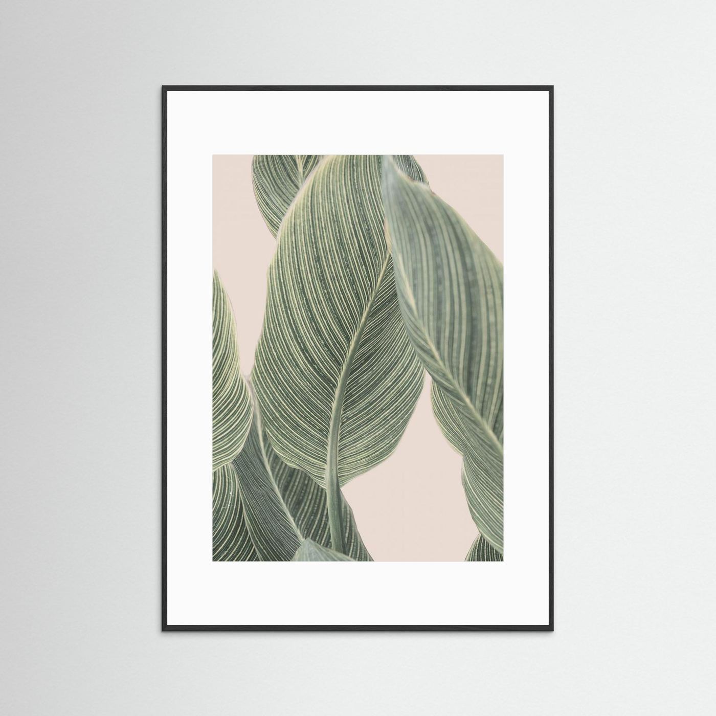 Calla Leaf by Kathrin Pienaar
