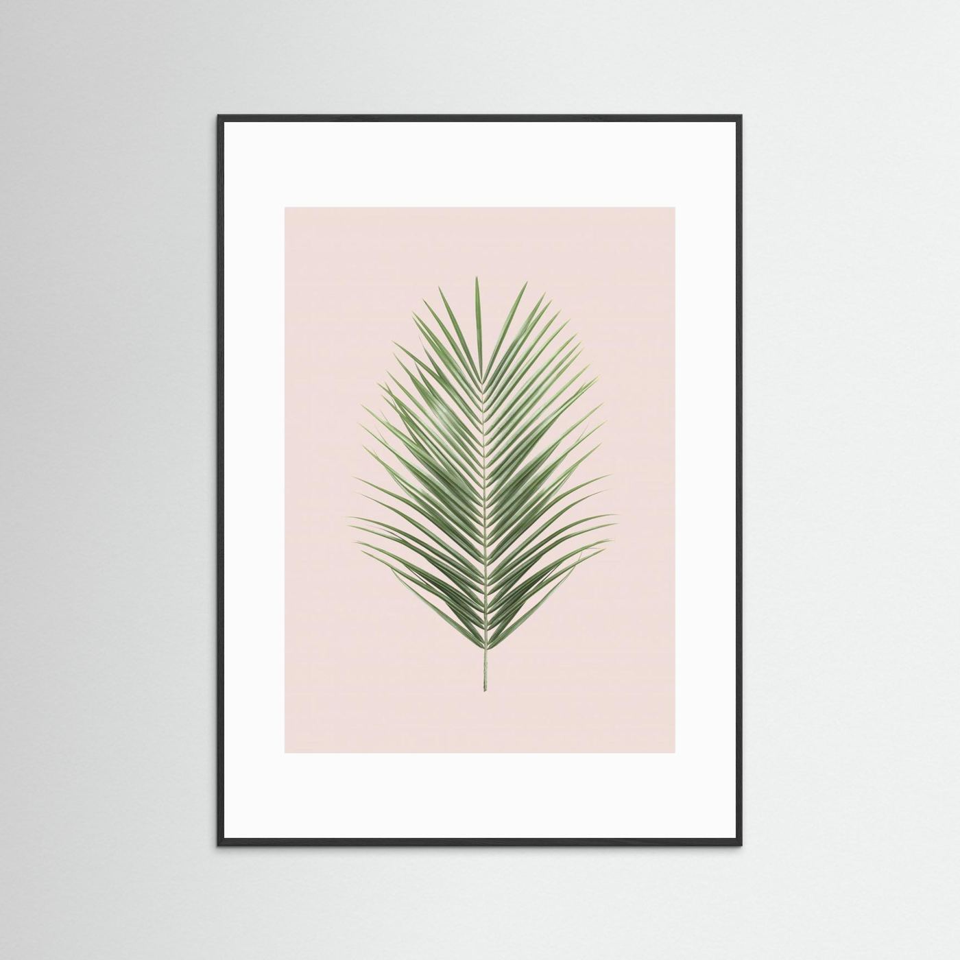Palm Leaf Blush by Kathrin Pienaar