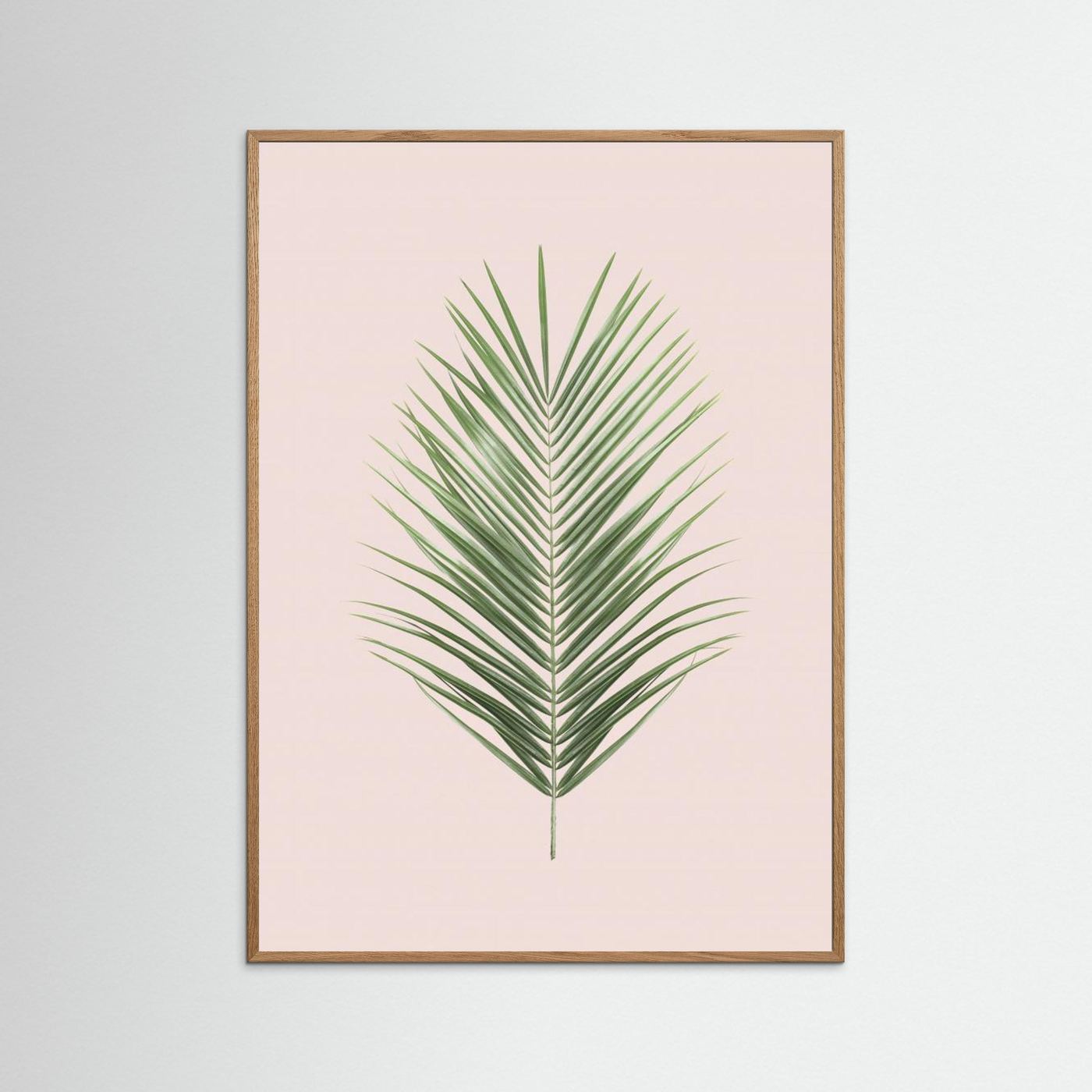 Palm Leaf Blush by Kathrin Pienaar