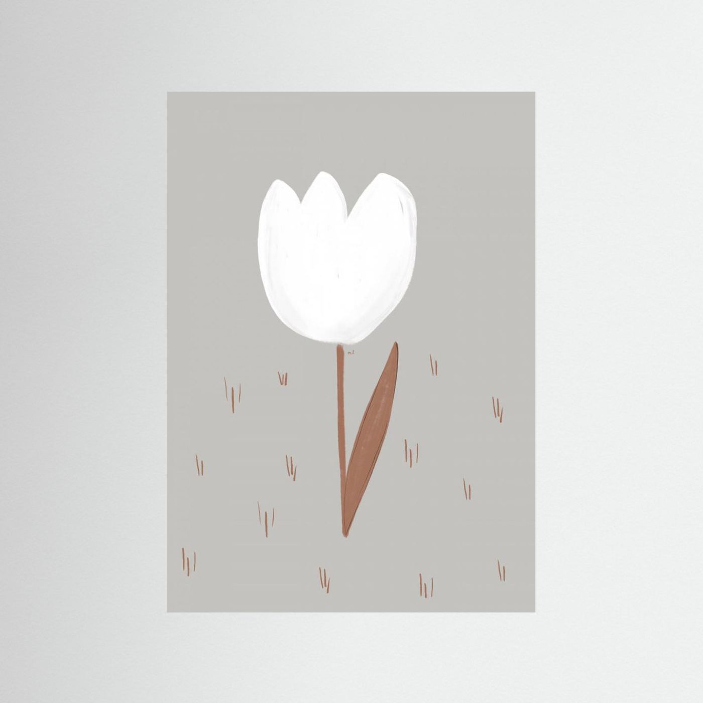 White Tulip by Menina Lisboa